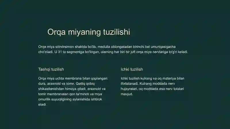 Orqa miya anatomo-fiziologik xususiyatlari 4