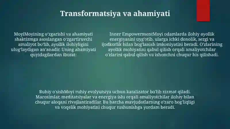 Transformator Moyi 4