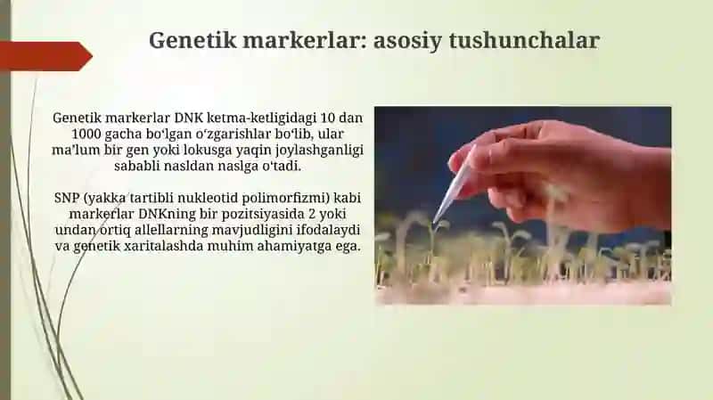 Taqdimot: Genetik markerlardan foydalanib oʻsimlik navlarini aniqlash 4