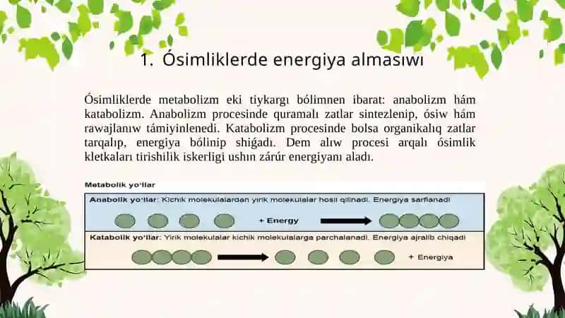 Haywanlar hám ósimliklerde energiya almasıwı parqı 4