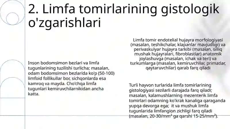 Hayvonlarda limfa tomirlari, bodomsimon bezlar gistomorfologiyasi 4