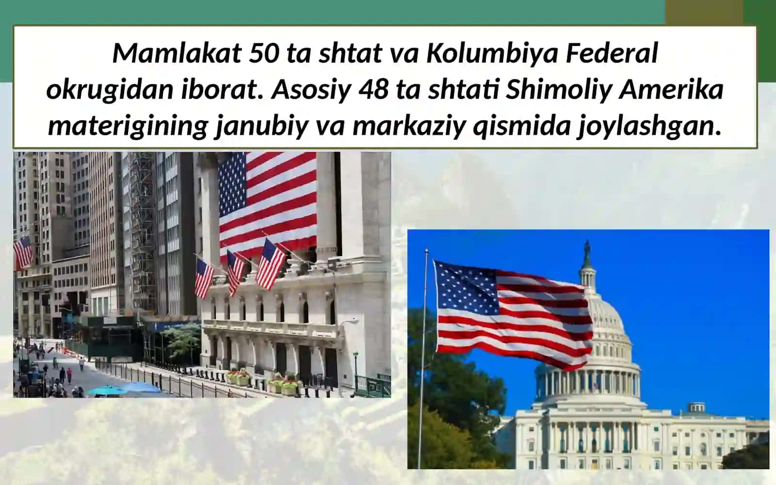 Amerika Qo‘shma Shtatlari 4