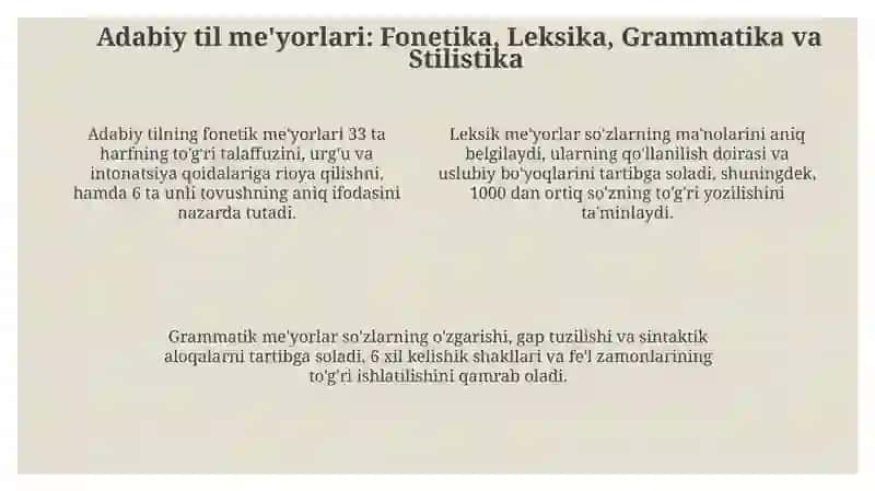 Soha tilida, adabiy til va uning meyorlari 4