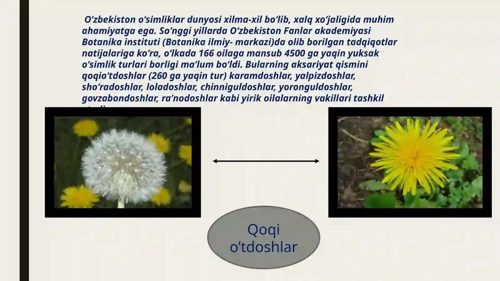O’Simlikdunyosidanfoydalanishvaunimuhofazaqilish 4