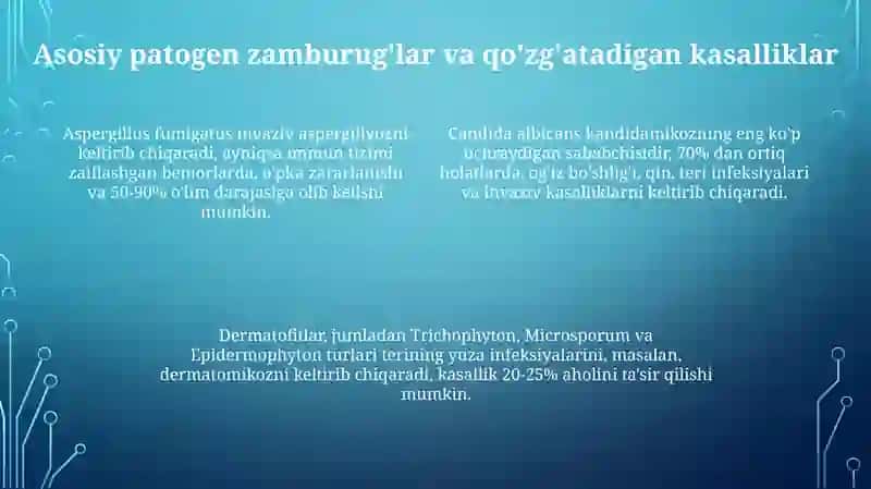 Patogen zamburug'lar chaqiruvchikasalliklar va ularni laboratoriyadiagnostikasi 4