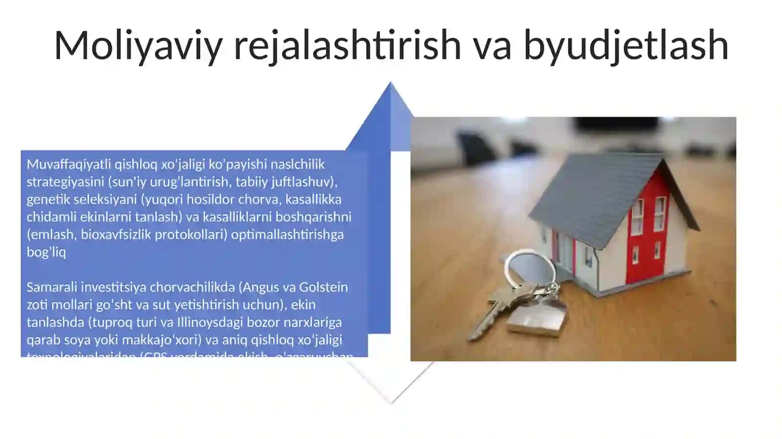 Qishloq xo’jaligidagi investitsiyadan foydalanish 4