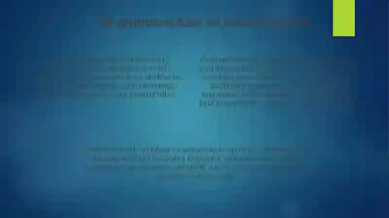 Satrlarvatillar.Hosilqiluvchigramatika 4