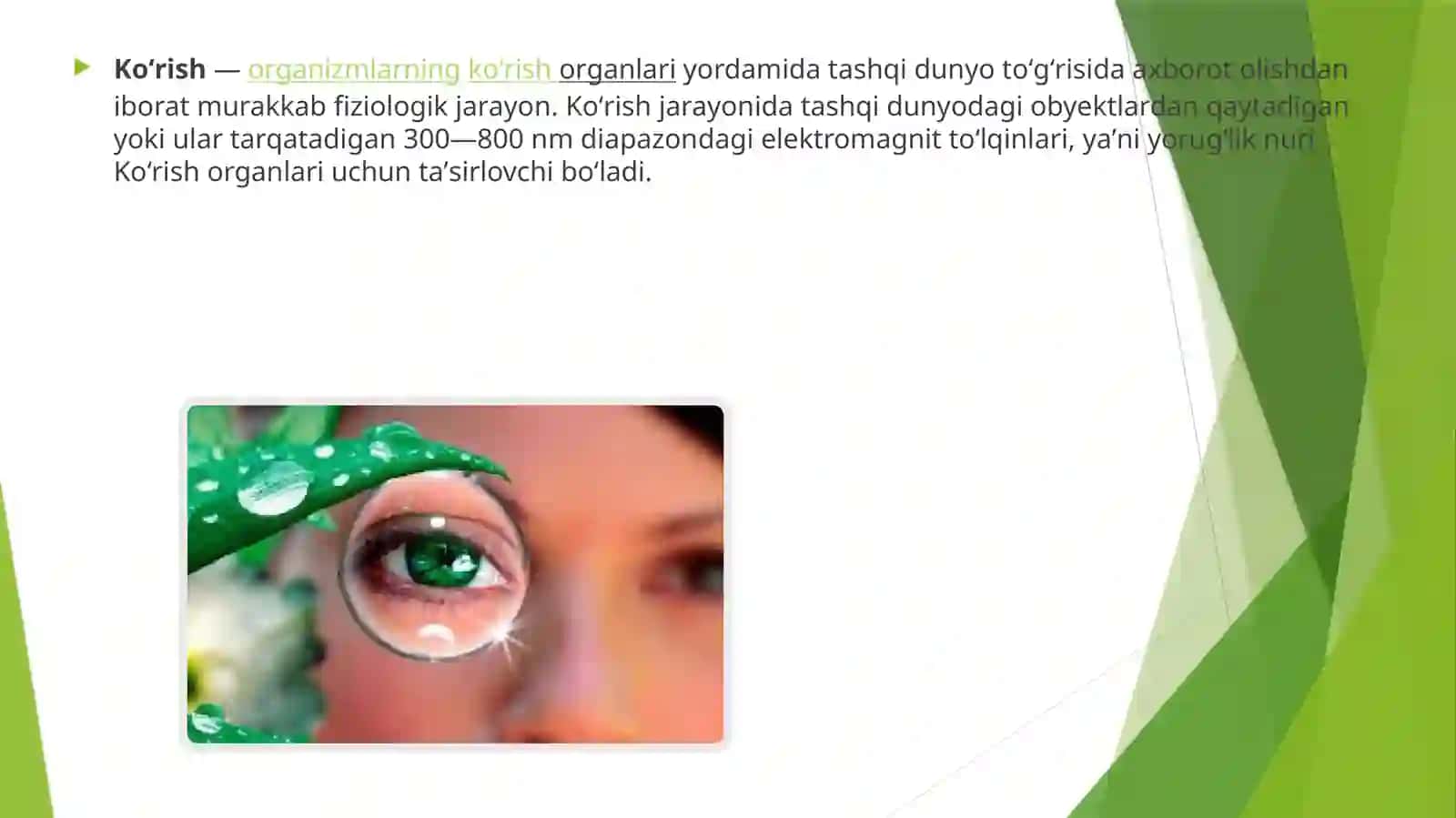 Rangniko’rishdarajasinianiqlash, tam bilishvahid bilishanazilatoriningo’zarohamkorligi 4