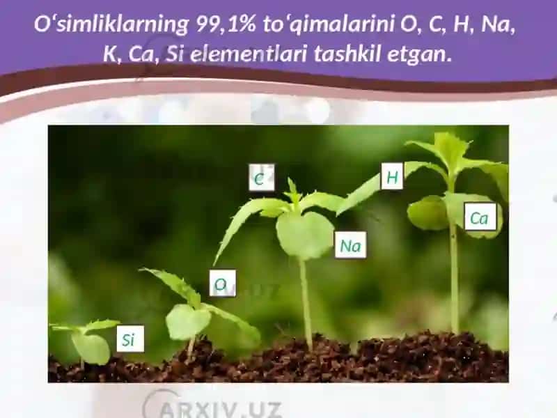 Biogen elementlar 4