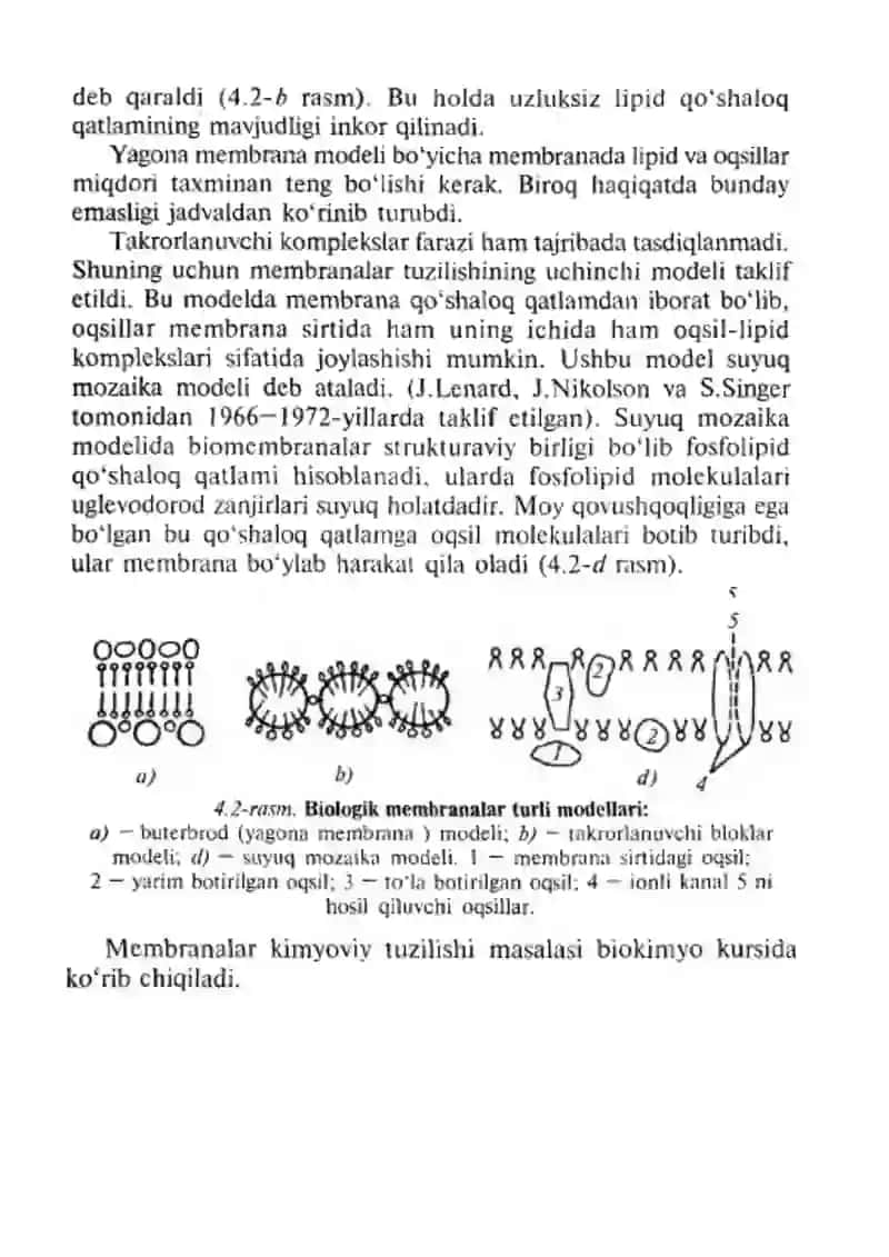 Biologik membranalar tuzilishi 4