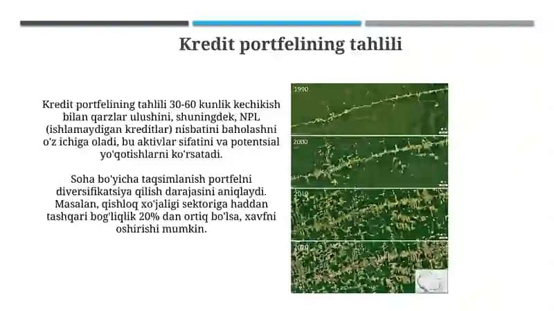 Agrobank (Kredit portfeli,foyda,risklar,raqamli xizmatlar) ma’lumotlarini iqtisodiy tahlil qilish 4