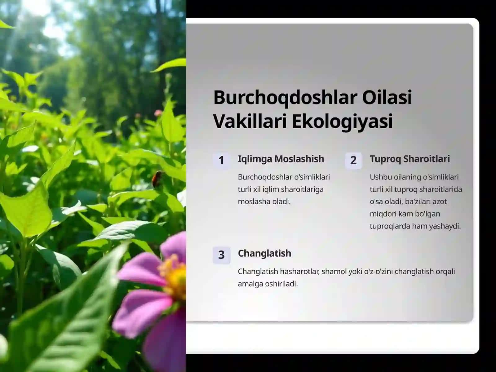 Burchoqdoshlar Oilasi: Biologiya, Ekologiya va Ahamiyati 4