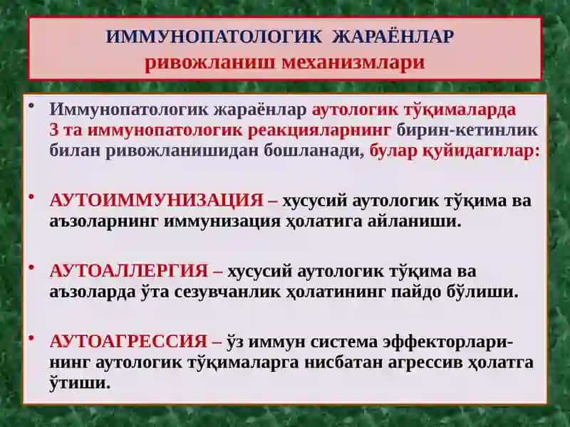 ИММУНОПАТОЛОГИК ЖАРАЁНЛАР. АЛЛЕРГИК ВА АУТОИММУН КАСАЛЛИКЛАР. ИММУН ТАНҚИСЛИГИ 4