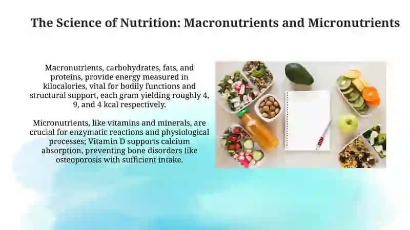 Meals and Diets 4