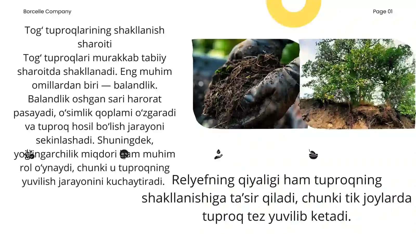 Tog‘ tuproqlaridan qishloq xo‘jaligida foydalanish 4