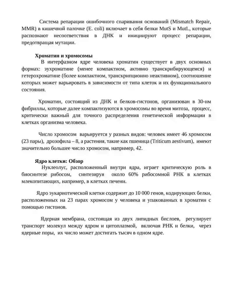 Ядро клетки 4