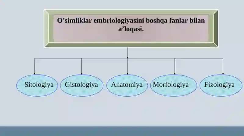 O’simliklar sitoembriologiyasi 4