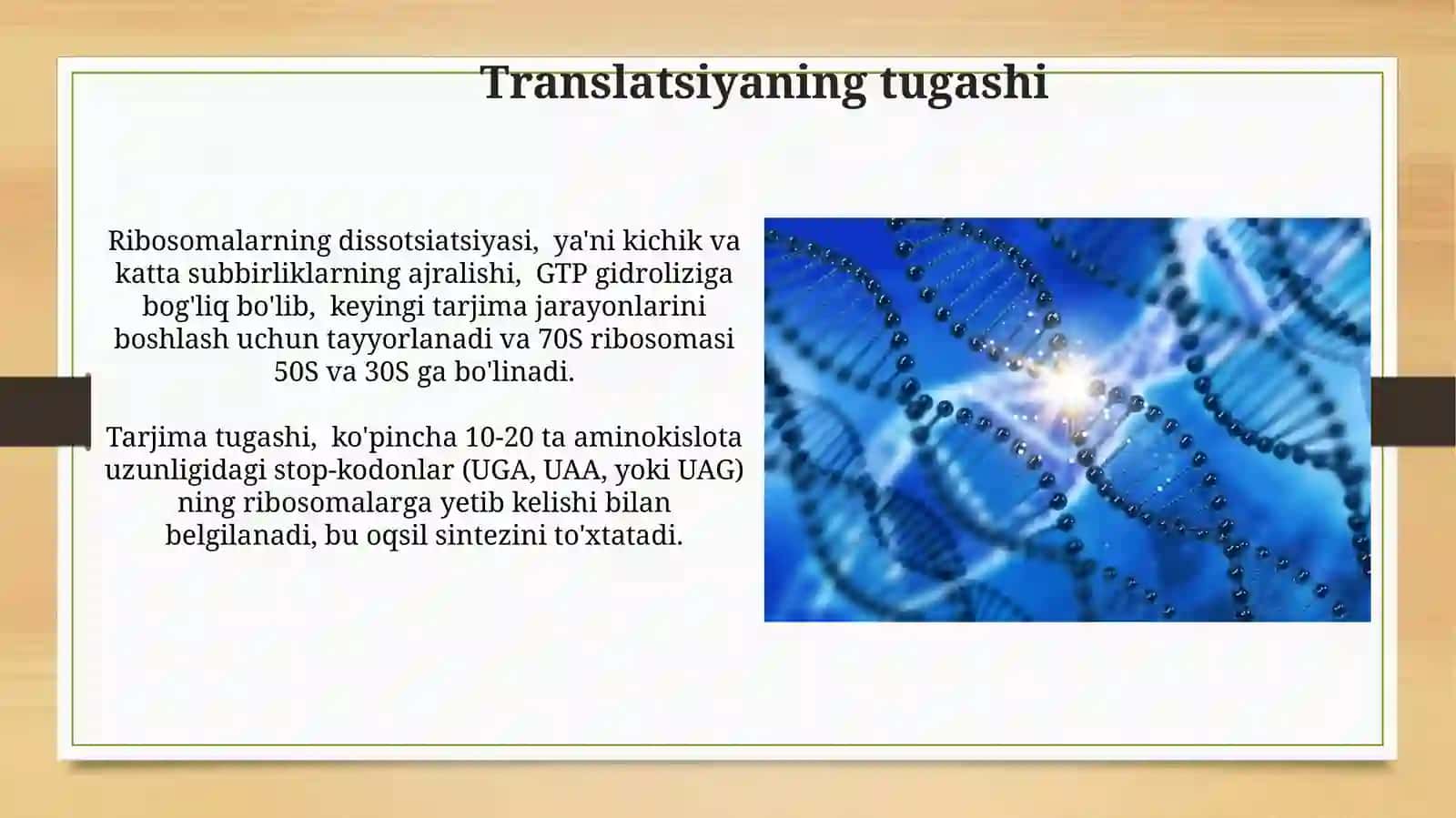 Hujayrada transkripsiya,translyatsiya va replikatsiya jarayonlari 4