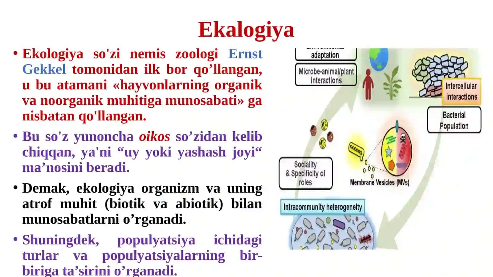 BIOSFERA VA MIKROORGANIZMLAR EKOLOGIYASI 4