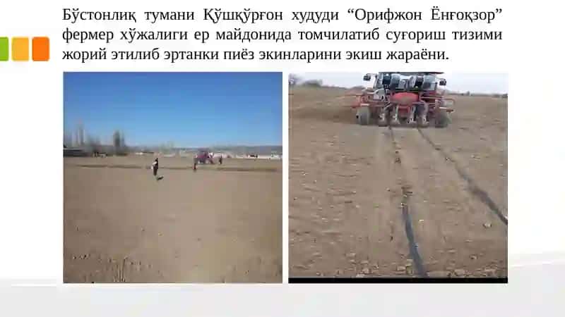 Бўстонлиқ тумани қишлоқ хўжалиги амалиёти 4