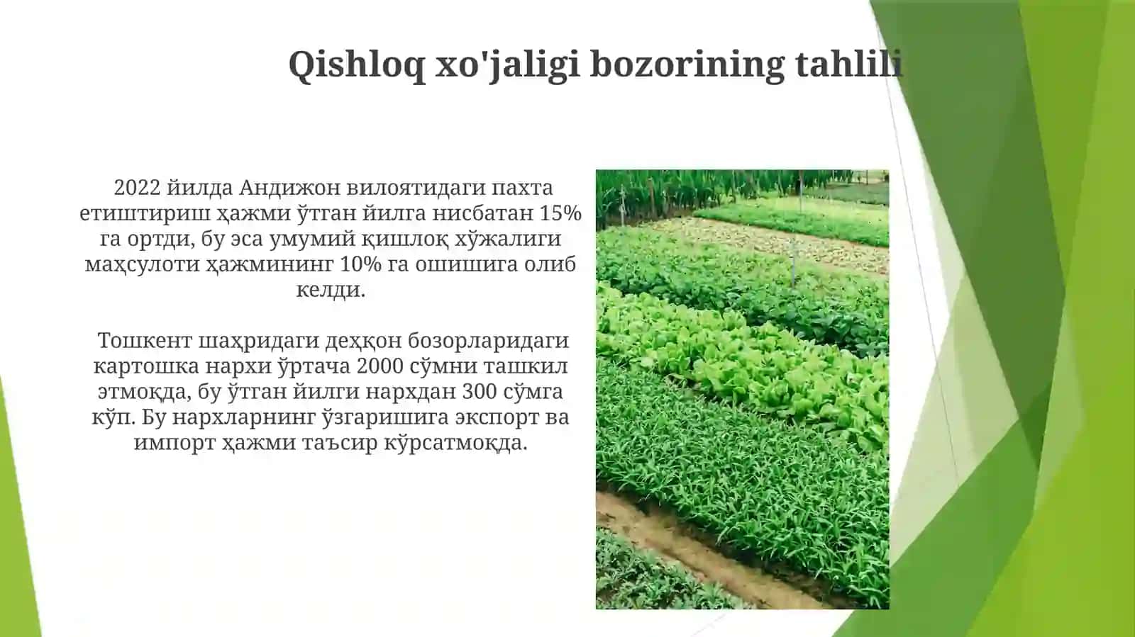 Dehqonvafermerxo'jaliklari 4