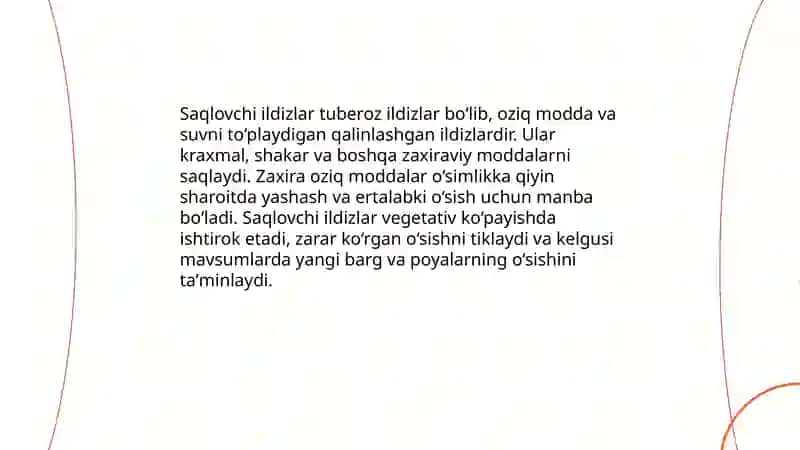 Ildiz metamorfozi 4