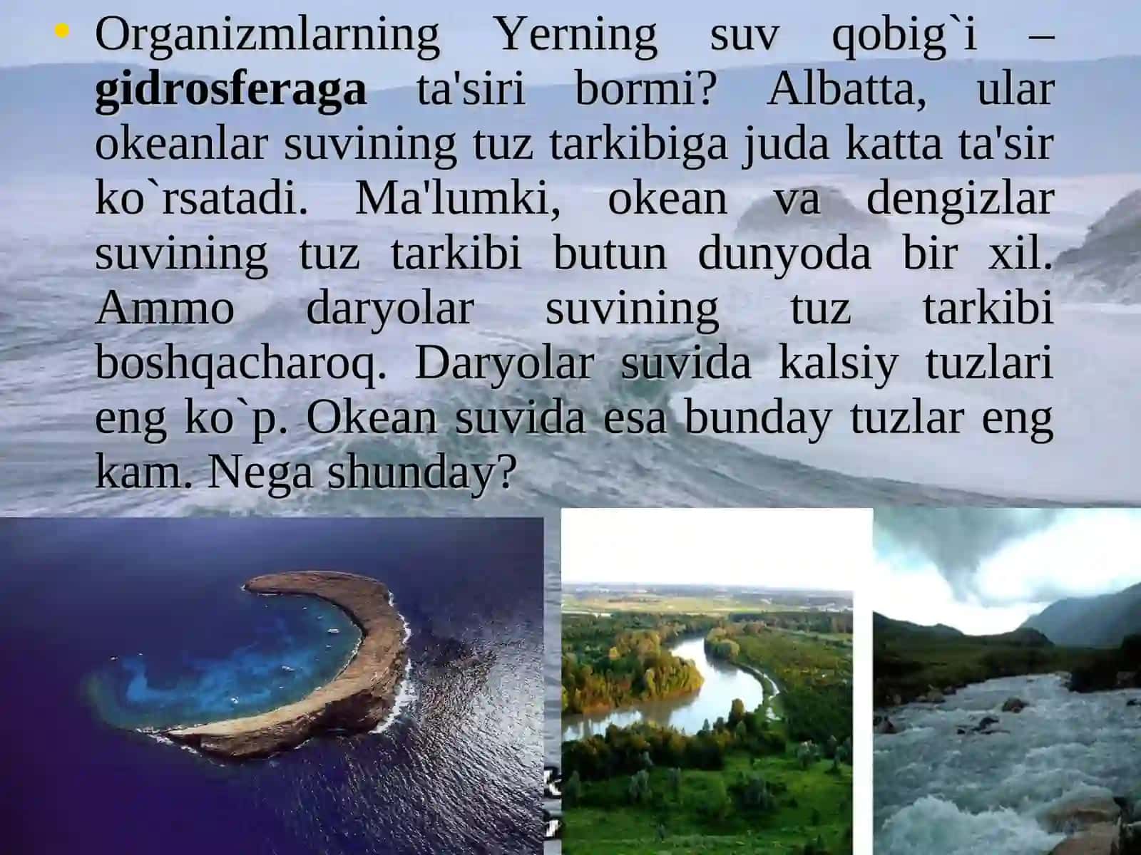 Organizmlarning yer qobiqlariga ta'siri 4