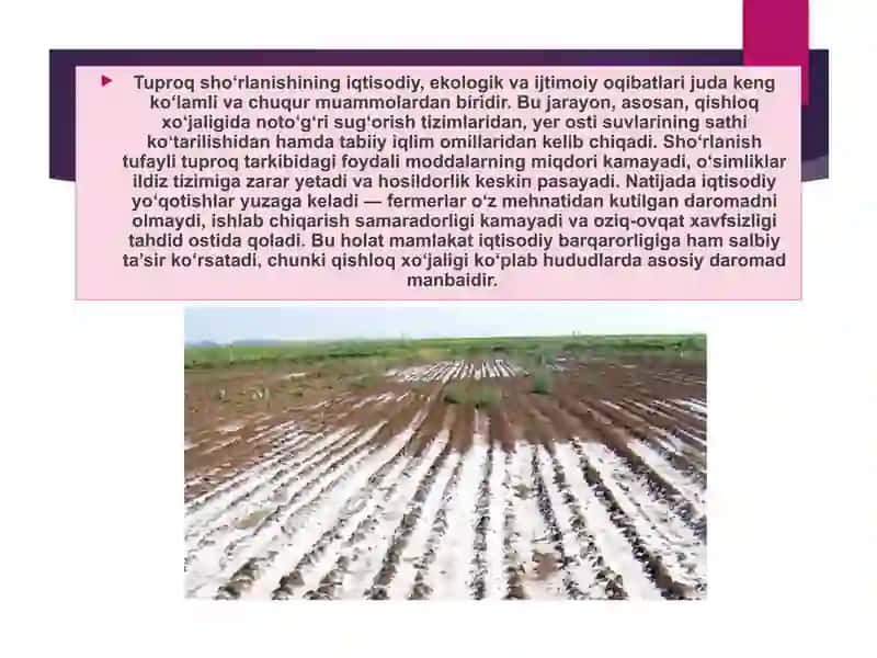 O‘zbekiston tuproqlar sho‘rlanish muammoasi va uni oldini olish chora-tadbirlari 4