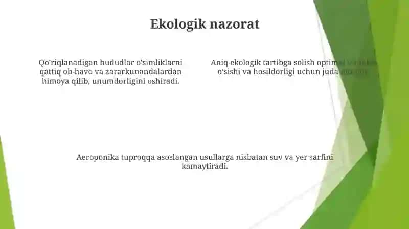 Aeroponika usulida savbavotlarni yetishtirish texnologiyasi 4