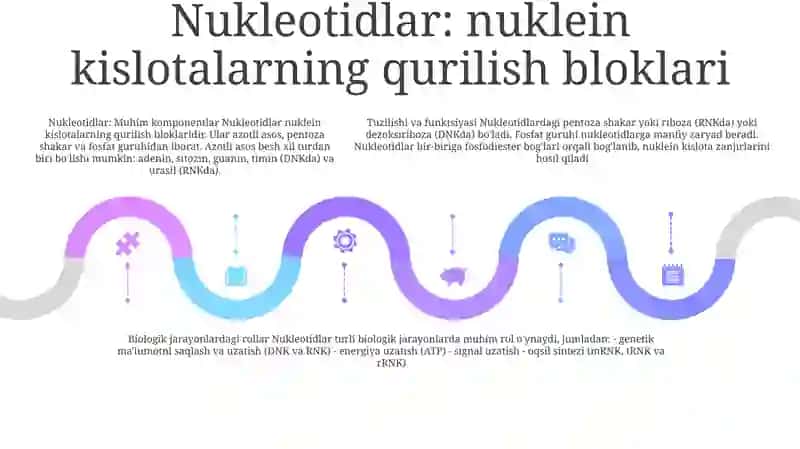 Nuklein Kislotalarning Tuzilishi Va Fizik Kimyoviy Xossalari Strukturasi 4