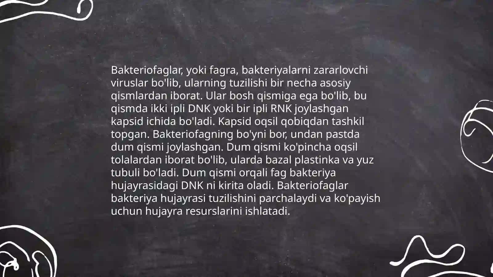 Bakteriofaglar 4