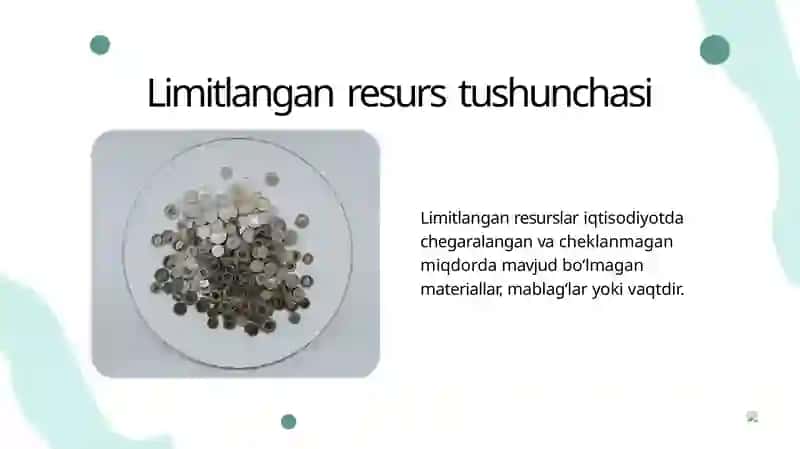 Limitlangan resurslardan foydalanish qarorini 4