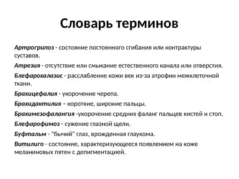 Словарь терминов 4