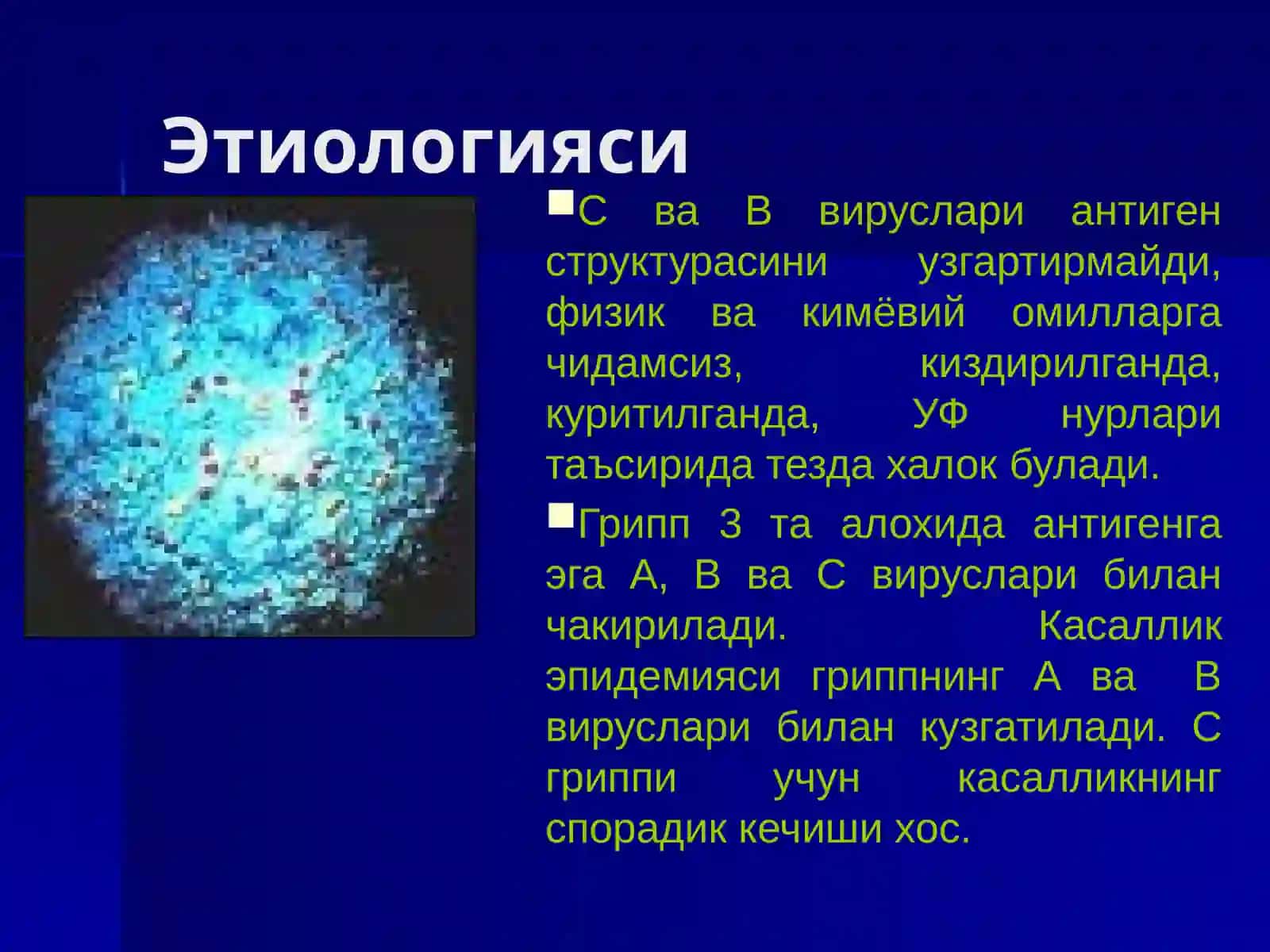 Гриппвабошқаўткирреспираторвирусликасалликлар 4
