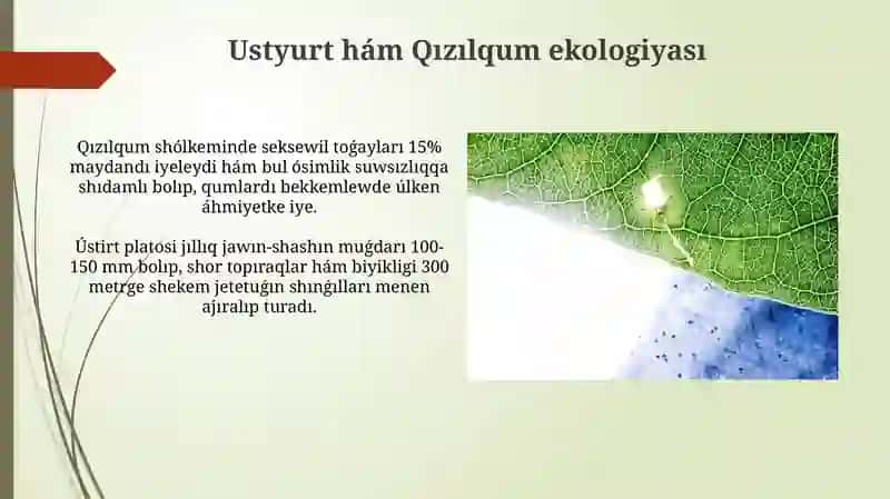 Устюрт хам Кызылкум экологиясы 4