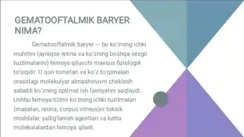 Gematooftalmik toʻsiqning tarkibi,funksiyalari,buzilishlari 4