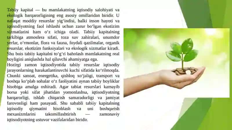 Tabiiy kapitalni baholashning iqtisodiy metriklari YalM alternativlari 4