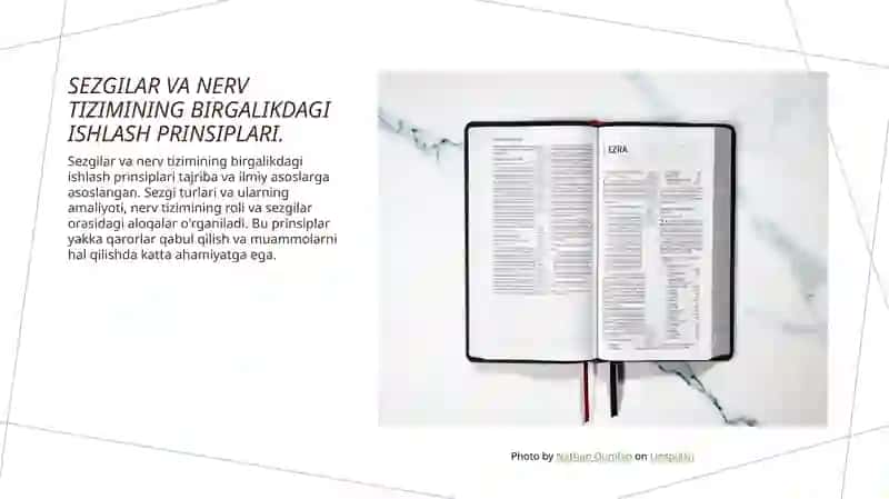 Sezgilar va ularning nerv fiziologiyasi 4