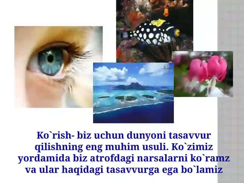 Eshitish organini o'tishda yangi pedagogik texnologiyadan foydalanish 4