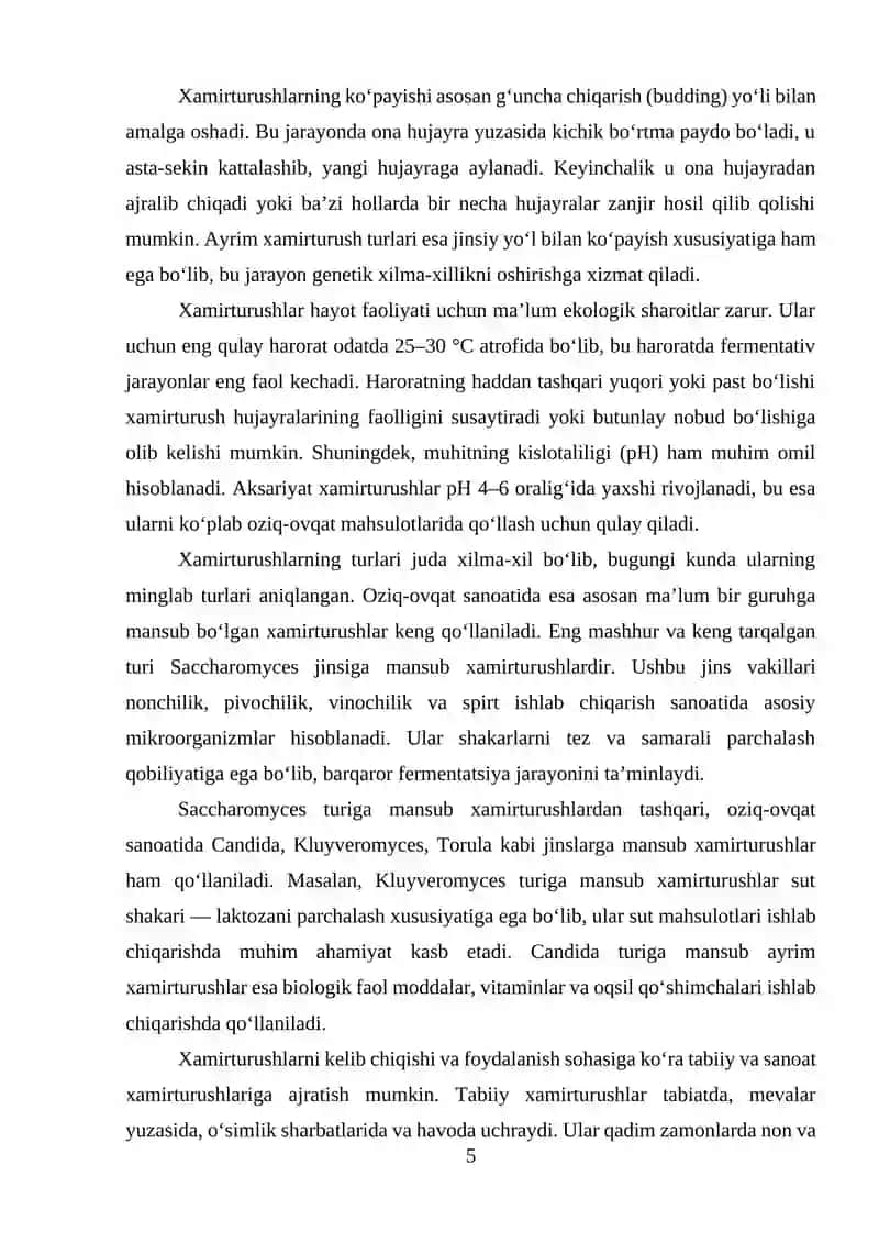 XAMIRTURUSHLARNING OZIQ-OVQAT SANOATIDAGI ROLI 4