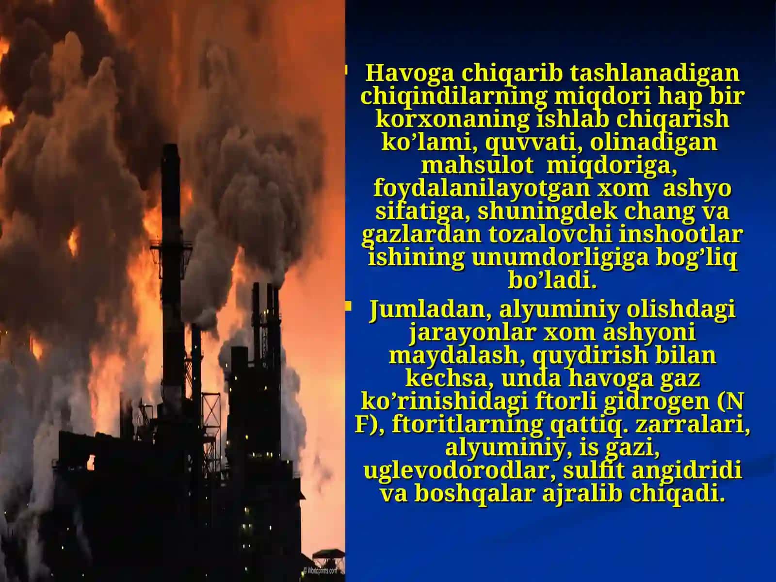 Yirik sanoat korxonalari chiqindilarining inson ekologik muhitini ifloslanishi 4