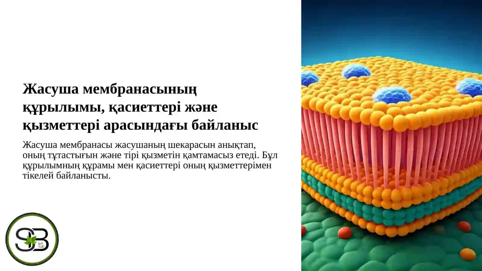 Психологиялық ахуал қалыптастыру 4