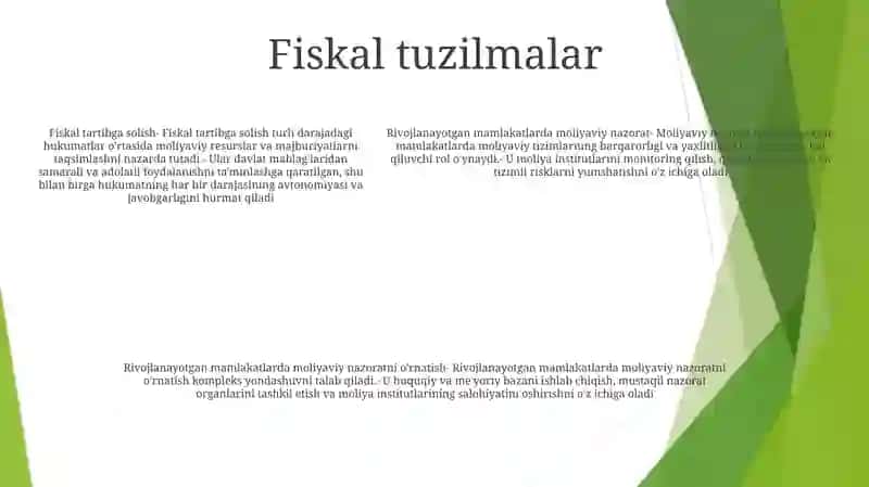 Rivojlаngаn Mаmlаkаtlаrdа Moliyaviy Nаzorаtni Tаshkil Etish 4
