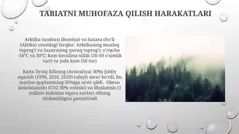 Materiklar tabiat zonalarining bir biridan farqi 4