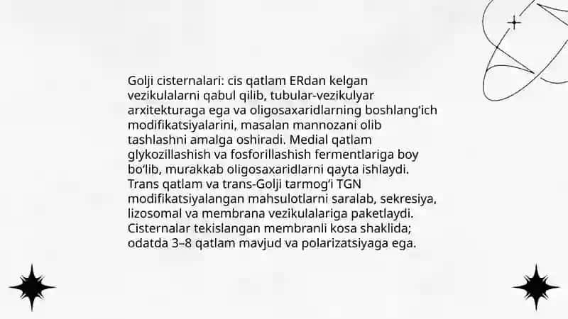 Sitoplazmaning organoidlari-golji apparati va lizosomaning tuizlishi. Kiritmalar 4