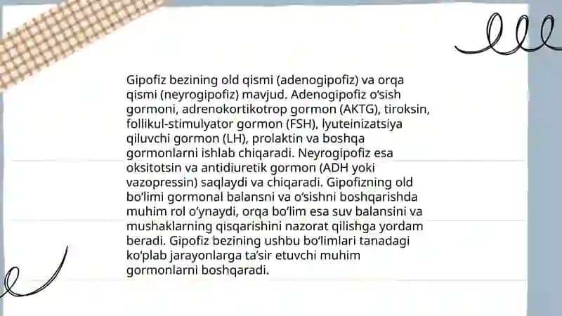 Endokrin tizim. Gipofiz. Epifiz bezlari anatomiyasi 4