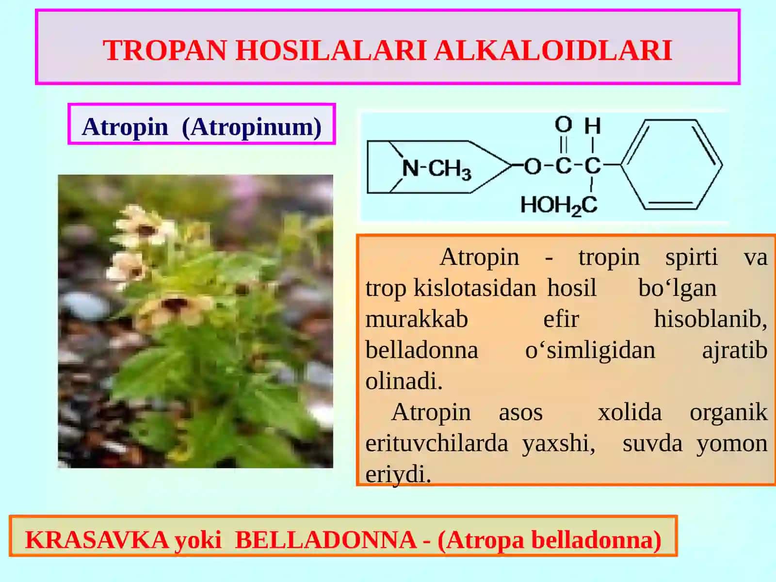 Tropan, xinolin, izoxinolin glycosides alkaloids va azot saqlovchi sintetik dorivosi tahlil usullari 4