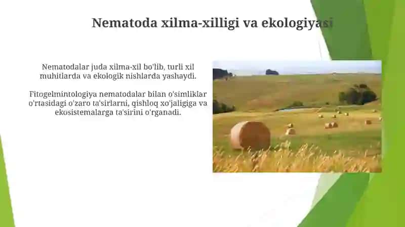 Fitogelmintologiya fanining ilmiy sohadagi va qishloq xo’jaligidagi ahamiyati 4