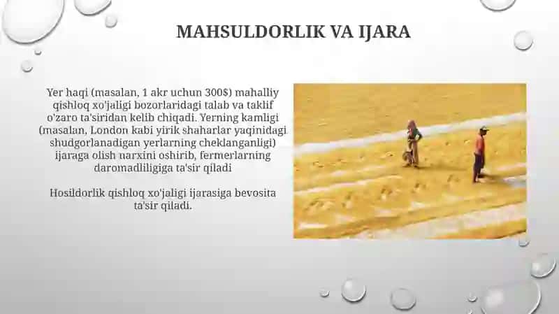 Qishloq xojaligi.ijara xaqqi va renta 4