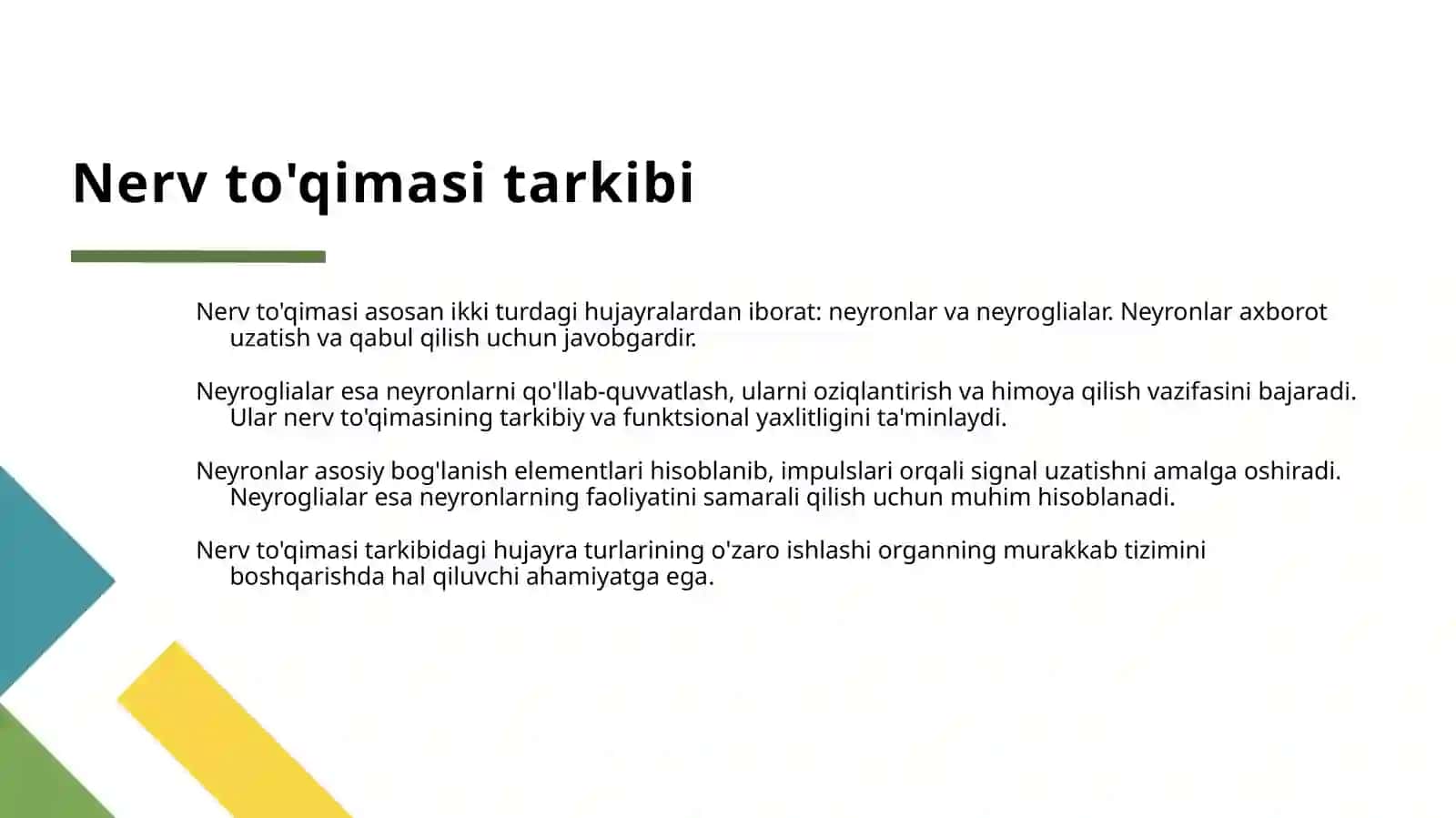 NERV TO’QIMASI-NEYRONLAR TURLARI HAQIDA 4